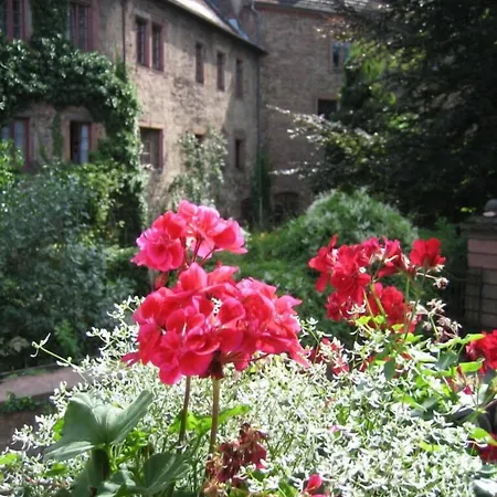 Pensionat Wappenstube 3*