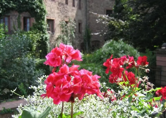 Konukevi Wappenstube 3*